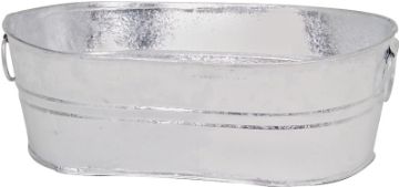 6981880.jpg