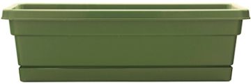 6749907.jpg