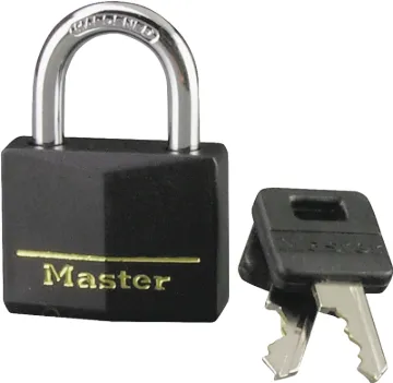 Master Lock 141D Padlock, Keyed Different Key, 1/4 in Dia Shackle, Steel Shackle, Brass Body, 1-9/16