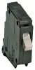 6066369.jpg