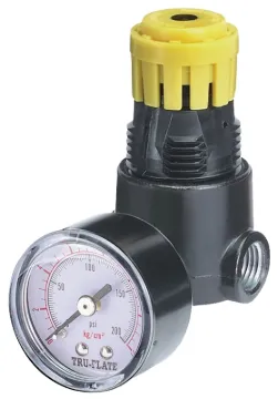 1/4IN MINI REGULATOR