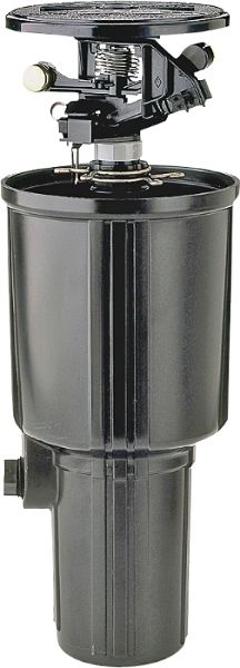 4956215.jpg
