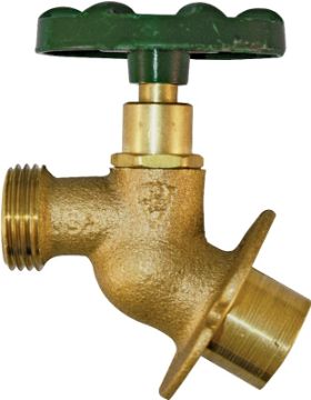 4924007.jpg