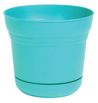 4692489.jpg