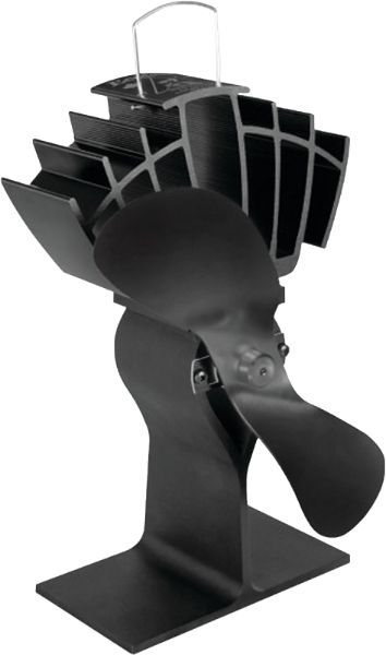 3586401.jpg