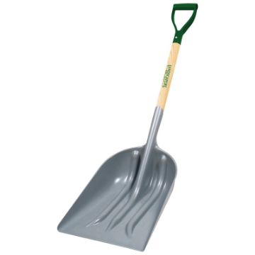 1700509.jpg