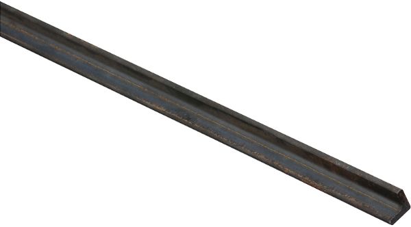 0098095.jpg