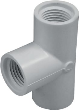 0188011.jpg