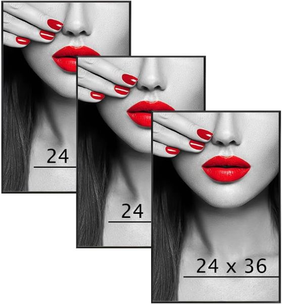 PlexonProducts24inx36inBlackPosterFramesImageImage1