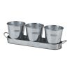 Setof3GalvanizedMetalGardenPlanterswithTrayImageImage1