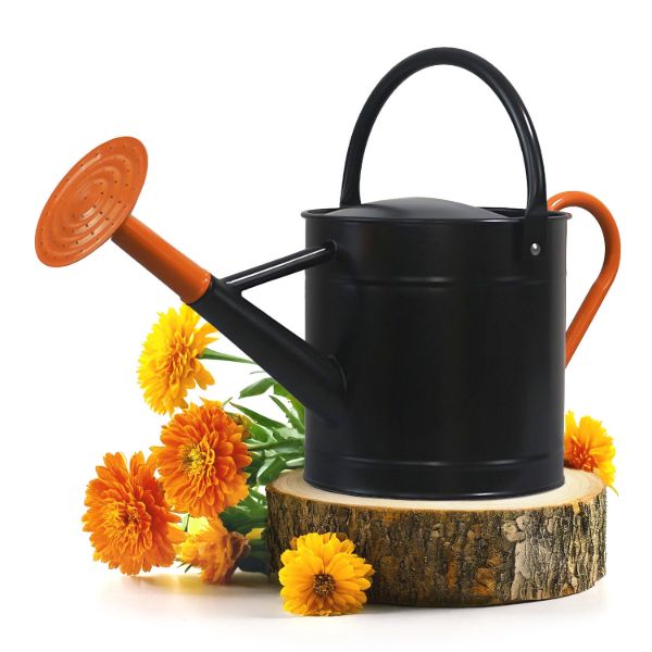 1GallonShinnyBlackMetalWateringCanwithOrangeHandleandSpoutImage1