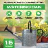 1GallonAcidPicklingGalvanizedMetalWateringCanwithBlackHandleandSpoutImage2