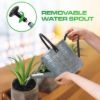 1GallonAcidPicklingGalvanizedMetalWateringCanwithBlackHandleandSpoutImage4