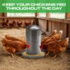 88lb304FoodGradeStainlessSteelAutomaticPoultryFeederImage5