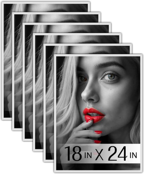 PlexonStylishPosterFrame18x24White6PackImageImage1
