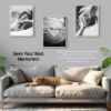 PlexonStylishPosterFrame18x24White6PackImageImage6