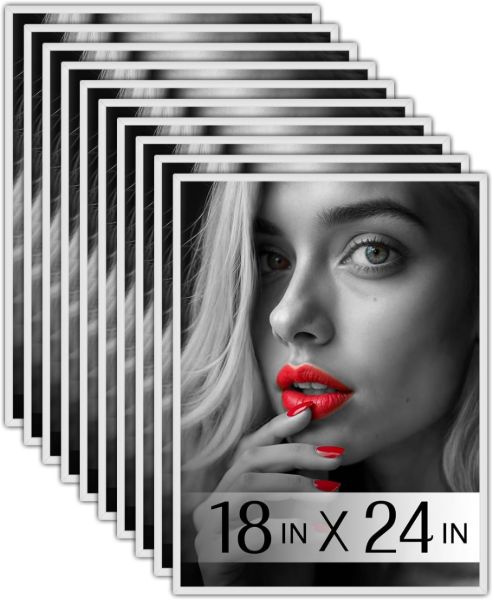 PlexonStylishPosterFrame18x24WhiteImageImage1