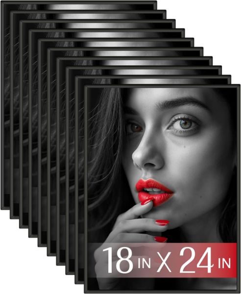 PlexonStylishPosterFrame18x24BlackImageImage1