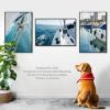 Plexon 24x36 Poster Frame Black 24 x 36 Poster Frames for Home Decor Office Horizontal or Vertical Wall Mount Front Polish Plexiglass Large Picture Frame for Wall Gallery Photo Frame 3 Pack5