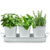 Plexon Herb Planter Indoor Garden Set of 3 with Tray, Metal Herb Pots for Indoor Plants, Round Kitchen Garden Kit Ideal for Windowsill Planter or Countertop, White Powder Coated1