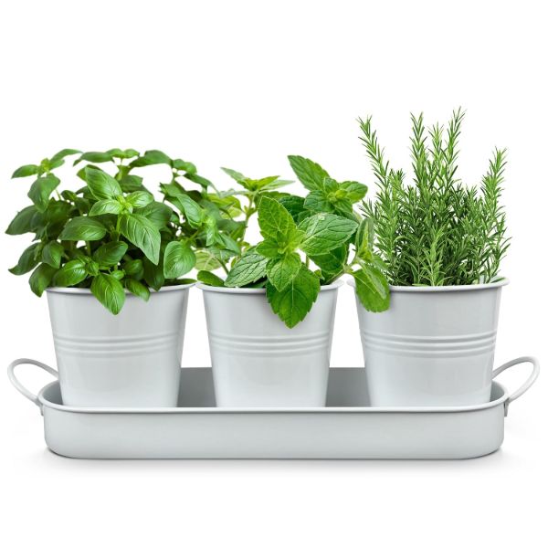 Plexon Herb Planter Indoor Garden Set of 3 with Tray, Metal Herb Pots for Indoor Plants, Round Kitchen Garden Kit Ideal for Windowsill Planter or Countertop, White Powder Coated1