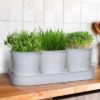 Plexon Herb Planter Indoor Garden Set of 3 with Tray, Metal Herb Pots for Indoor Plants, Round Kitchen Garden Kit Ideal for Windowsill Planter or Countertop, White Powder Coated8