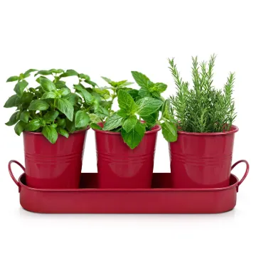 Plexon Herb Planter Indoor Garden Set of 3 with Tray, Metal Herb Pots for Indoor Plants, Round Kitchen Garden Kit Ideal for Windowsill Planter or Countertop, Red Powder Coated1