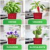 Plexon Herb Planter Indoor Garden Set of 3 with Tray, Metal Herb Pots for Indoor Plants, Round Kitchen Garden Kit Ideal for Windowsill Planter or Countertop, Red Powder Coated5