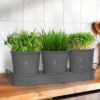 Plexon Herb Planter Indoor Garden Set of 3 with Tray, Metal Herb Pots for Indoor Plants, Round Kitchen Garden Kit Ideal for Windowsill Planter or Countertop, Gray Powder Coated8