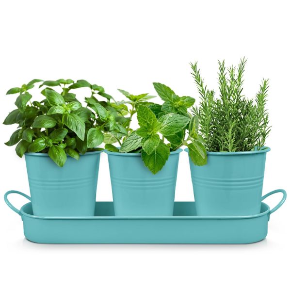 Plexon Herb Planter Indoor Garden Set of 3 with Tray, Metal Herb Pots for Indoor Plants, Round Kitchen Garden Kit Ideal for Windowsill Planter or Countertop, Aqua Mist Blue Powder Coated1