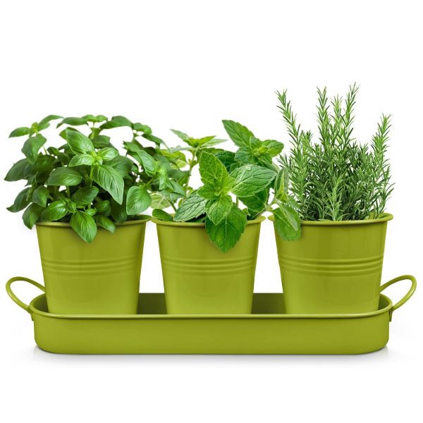 Plexon Herb Planter Indoor Garden Set of 3 with Tray, Metal Herb Pots for Indoor Plants, Round Kitchen Garden Kit Ideal for Windowsill Planter or Countertop, Green Powder Coated1