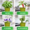 Plexon Herb Planter Indoor Garden Set of 3 with Tray, Metal Herb Pots for Indoor Plants, Round Kitchen Garden Kit Ideal for Windowsill Planter or Countertop, Green Powder Coated5