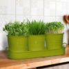 Plexon Herb Planter Indoor Garden Set of 3 with Tray, Metal Herb Pots for Indoor Plants, Round Kitchen Garden Kit Ideal for Windowsill Planter or Countertop, Green Powder Coated8