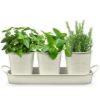Plexon Herb Planter Indoor Garden Set of 3 with Tray, Metal Herb Pots for Indoor Plants, Round Kitchen Garden Kit Ideal for Windowsill Planter or Countertop, Off-White Powder Coated1