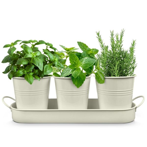 Plexon Herb Planter Indoor Garden Set of 3 with Tray, Metal Herb Pots for Indoor Plants, Round Kitchen Garden Kit Ideal for Windowsill Planter or Countertop, Off-White Powder Coated1