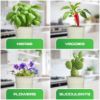 Plexon Herb Planter Indoor Garden Set of 3 with Tray, Metal Herb Pots for Indoor Plants, Round Kitchen Garden Kit Ideal for Windowsill Planter or Countertop, Off-White Powder Coated5