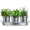 Plexon Herb Planter Indoor Garden Set of 3 with Tray, Metal Herb Pots for Indoor Plants, Round Kitchen Garden Kit Ideal for Windowsill Planter or Countertop, Galvanized Steel1