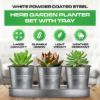 Plexon Herb Planter Indoor Garden Set of 3 with Tray, Metal Herb Pots for Indoor Plants, Round Kitchen Garden Kit Ideal for Windowsill Planter or Countertop, Galvanized Steel2