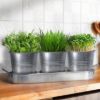 Plexon Herb Planter Indoor Garden Set of 3 with Tray, Metal Herb Pots for Indoor Plants, Round Kitchen Garden Kit Ideal for Windowsill Planter or Countertop, Galvanized Steel8