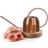 Plexon Rose Gold Metal Watering Can Indoor Plants 40 oz, Stainless Steel Long Spout Watering Can Outdoor House Plant Flower, Garden1