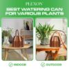Plexon Rose Gold Metal Watering Can Indoor Plants 40 oz, Stainless Steel Long Spout Watering Can Outdoor House Plant Flower, Garden6