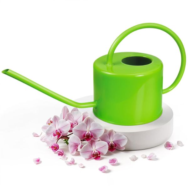Plexon 40 oz Green Powder Coated Steel Watering Can Indoor Plants - Long Spout Watering Can Outdoor House Plant Flower, Garden1