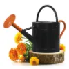 Plexon 1 Gallon Metal Watering Can Outdoor, Flower Plant Gardening Garden Large Watering Can Pot Pitcher, Steel Orange Handles and Removable Spray Spout, Black1
