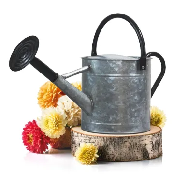 Plexon 1 Gallon Metal Watering Can Outdoor, Flower Plant Gardening Garden Large Galvanized Watering Can Pot Pitcher, Steel Black Handles and Removable Spray Spout1