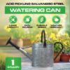 Plexon 1 Gallon Metal Watering Can Outdoor, Flower Plant Gardening Garden Large Galvanized Watering Can Pot Pitcher, Steel Black Handles and Removable Spray Spout2