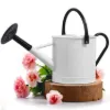 Plexon 1 Gallon Metal Watering Can Outdoor, Flower Plant Gardening Garden Large Watering Can Pot, Black Galvanized Steel Handles and Removable Spray Spout, White1