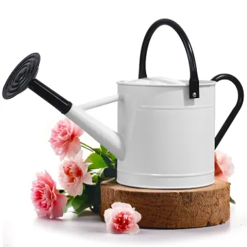 Plexon 1 Gallon Metal Watering Can Outdoor, Flower Plant Gardening Garden Large Watering Can Pot, Black Galvanized Steel Handles and Removable Spray Spout, White1