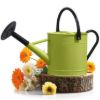 Plexon 1 Gallon Metal Watering Can Outdoor, Flower Plant Gardening Garden Large Watering Can Pot, Black Galvanized Steel Handles and Removable Spray Spout, Green1