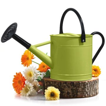 Plexon 1 Gallon Metal Watering Can Outdoor, Flower Plant Gardening Garden Large Watering Can Pot, Black Galvanized Steel Handles and Removable Spray Spout, Green1