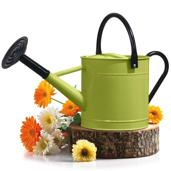 Plexon 1 Gallon Metal Watering Can Outdoor, Flower Plant Gardening Garden Large Watering Can Pot, Black Galvanized Steel Handles and Removable Spray Spout, Green1